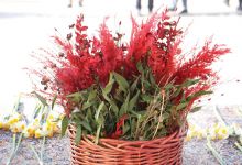 گزارش تصویری مراسم غبار روبی مزار شهدا